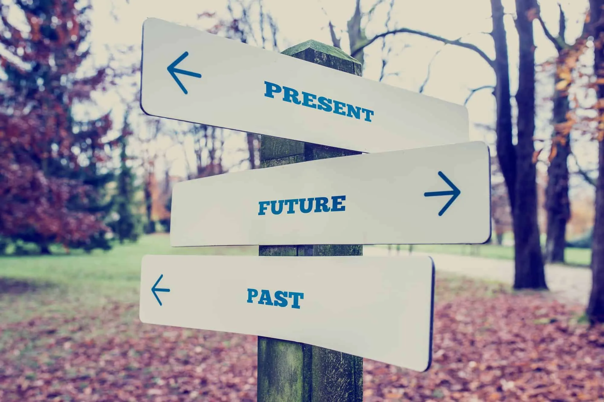 Our Year In Review — Celebrating the Past, Honoring the Present, and Looking Forward to the Future