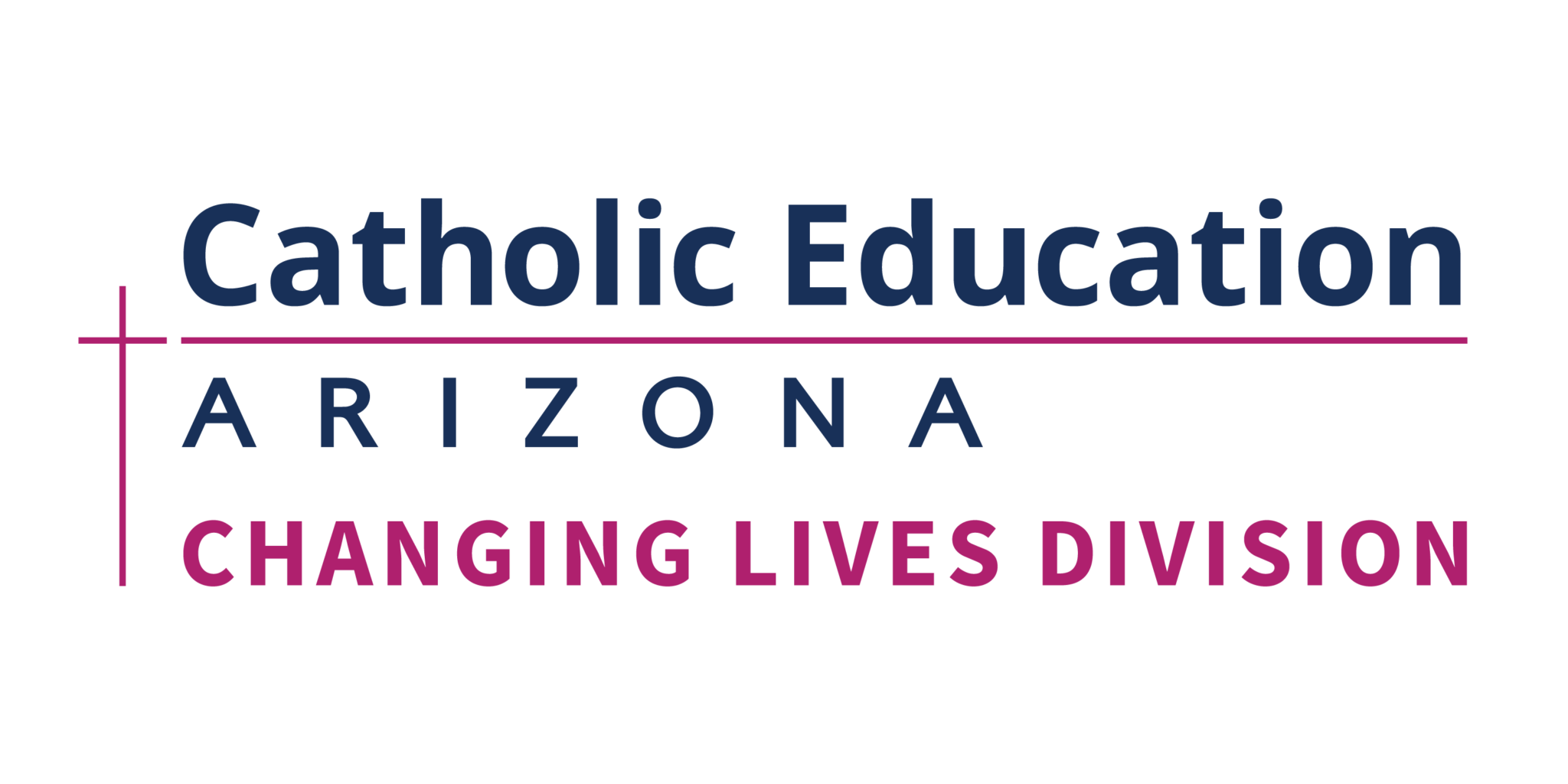 Who Does the Non-Tax Credit Changing Lives Division Help?